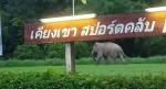 เขาวงรีสอร์ท และเคียงเขาสปอร์ตคลับ